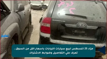 مزاد 25 أغسطس لبيع سيارات النيابات بأسعار أقل من السوق.. تعرف على التفاصيل وضوابط الاشتراك